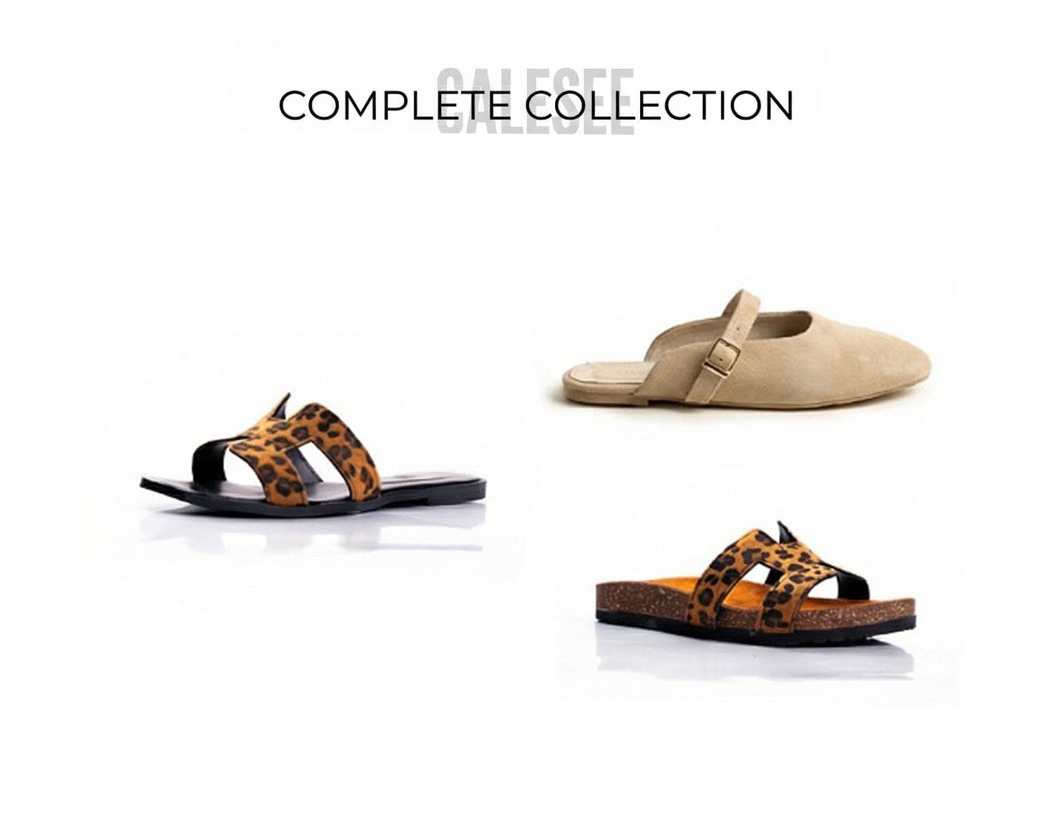 THE COMPLETE YOU – Mixed Colors